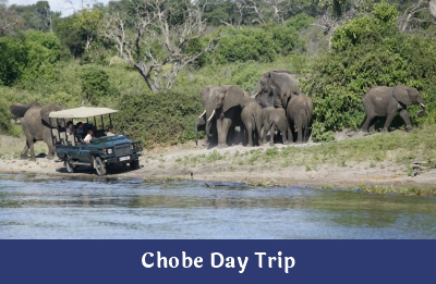 Chobe Day Trip – Ndope Travel and Tours