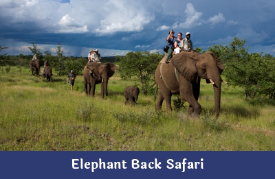 Elephant Back Safari – Ndope Travel and Tours