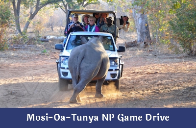 Game Drive – Ndope Travel and Tours