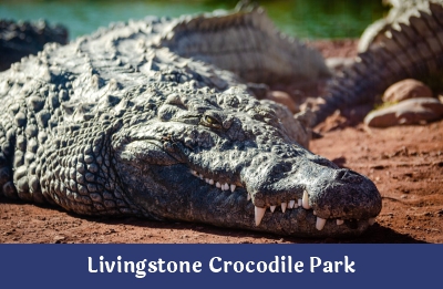 Livingstone Crocodile Park – Ndope Travel and Tours