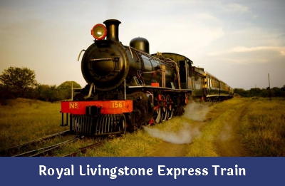 Royal Livingstone Express Train – Ndope Travel and Tours