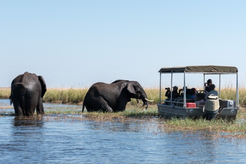 Chobe Day Trip – Ndope