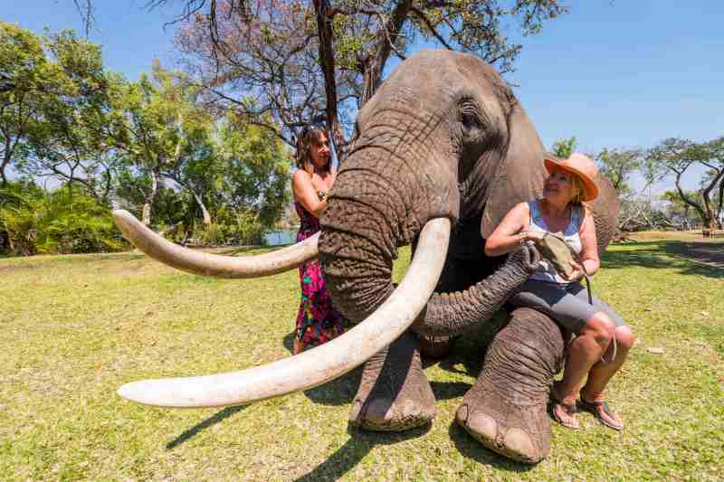 Elephant Cafe – Ndope Travel